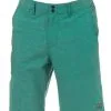 Animal Darwin Hugo Boardshort Green (US 36 - XL)