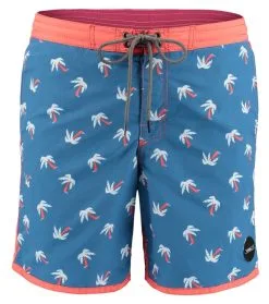 ONeill O'Neill Frame 17" Boardshort Blue AOP