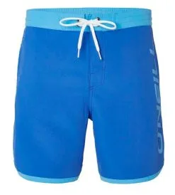 ONeill O'Neill PM Frame 16.5" Logo Hyperdry Shorts Male Blue