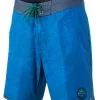 Rip Curl Layday Sunny Trip 19" Boardshort True Blue -Snowboards Verkoop rip curl layday sunny trip 19 inch boardshort blue front 19825 cbofg4 0275