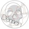 Demon Skull Transparant Stomp Pad -Snowboards Verkoop stomp pad demon skull round transparent 22146